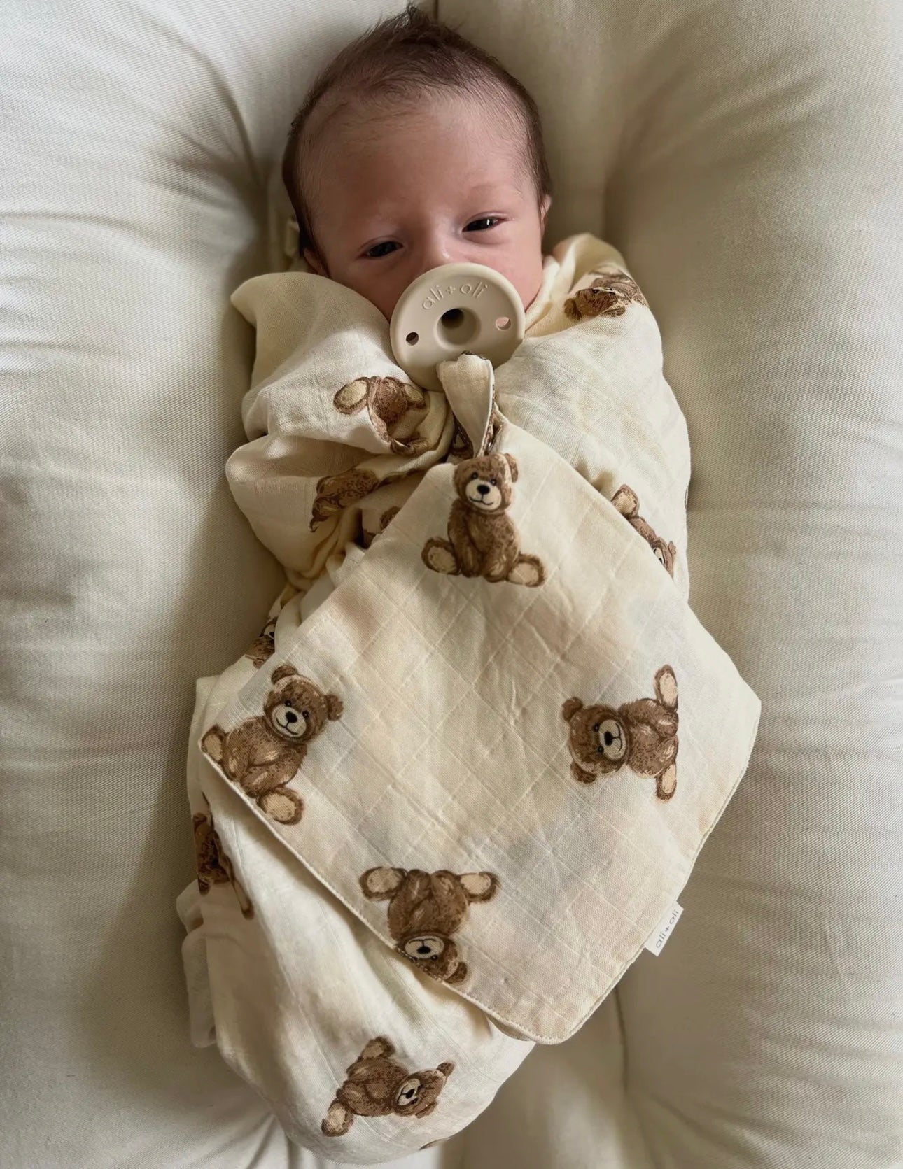 Teddy Pacifier Blanket