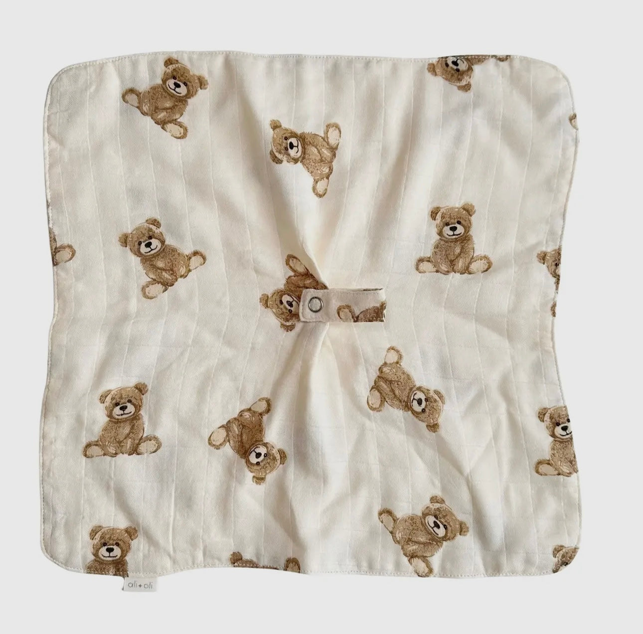 Teddy Pacifier Blanket